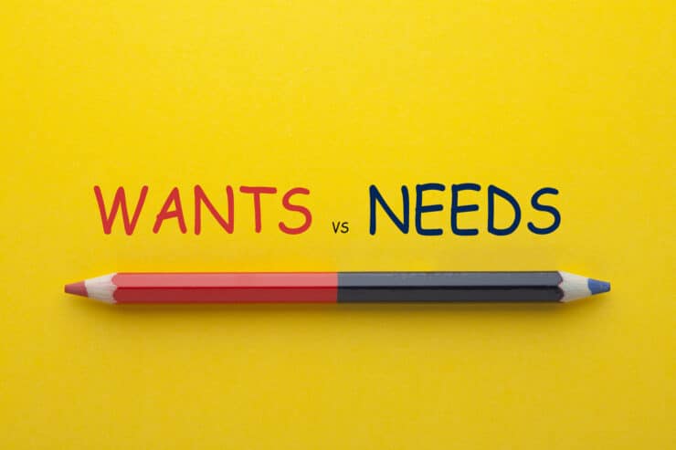 how to understand the difference between needs and wants