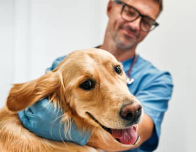 How to Manage Your Veterinarian Costs