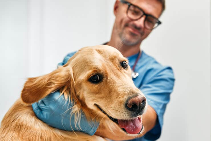 How to Manage Your Veterinarian Costs